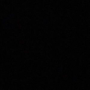 Meet your Posher, Darien